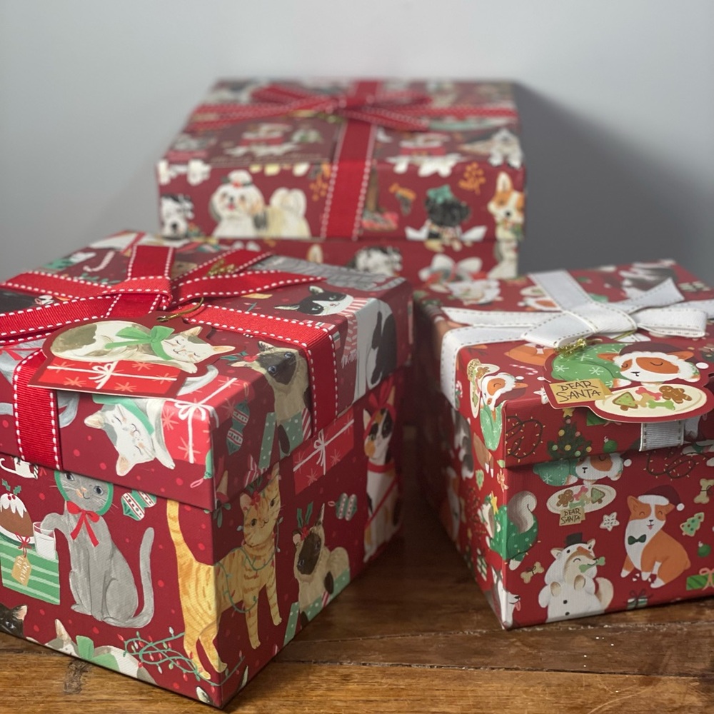 Clementine paper inc. Christmas holiday animal gift storage box bundle set of 3